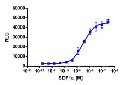 Eurofins Discoverx&nbsp;PathHunter eXpress CXCR7 CHO-K1 β-Arrestin GPCR Assay, 10-Plate Kit. (93-0248E2CP2L)