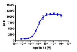 Eurofins Discoverx&nbsp;PathHunter eXpress AGTRL1 CHO-K1 β-Arrestin GPCR Assay, 2-Plate Kit. (93-0250E2CP0M)