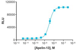 Eurofins Discoverx&nbsp;PathHunter AGTRL1 Bioassay Kit, 10-Plate. (93-0250Y2-00122)