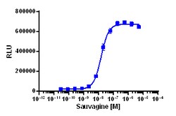 Eurofins Discoverx&nbsp;PathHunter eXpress CRHR2 CHO-K1 β-Arrestin GPCR Assay, 10-Plate Kit. (93-0251E2CP0L)