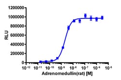 Eurofins Discoverx&nbsp;PathHunter CHO-K1 CALCRL-RAMP3 β-Arrestin Cell Line, 2 vials. (93-0252C2)