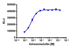 Eurofins Discoverx&nbsp;PathHunter eXpress CALCRL-RAMP3 CHO-K1 β-Arrestin GPCR Assay, 10pl Kit. (93-0252E2CP0L)