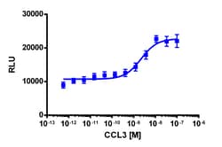 Eurofins Discoverx PathHunter CHO-K1 CCR1 β-Arrestin Cell Line, 2 vials. (93-0254C2)