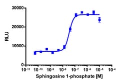 Eurofins Discoverx&nbsp;PathHunter eXpress EDG5 CHO-K1 β-Arrestin GPCR Assay, 2-Plate Kit. (93-0256E2CP0M)