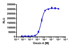 Eurofins Discoverx&nbsp;PathHunter eXpress HCRTR1 CHO-K1 β-Arrestin GPCR Assay, 10-Plate Kit. (93-0258E2CP0L)