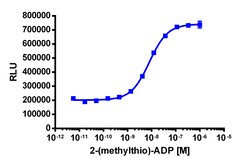 Eurofins Discoverx PathHunter eXpress P2RY12 CHO-K1 β-Arrestin GPCR Assay,