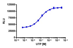 Eurofins Discoverx PathHunter eXpress P2RY4 CHO-K1 β-Arrestin GPCR Assay,
