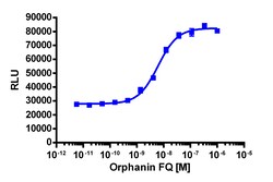 Eurofins Discoverx&nbsp;PathHunter eXpress OPRL1 CHO-K1 β-Arrestin GPCR Assay, 2-Plate Kit. (93-0264E2CP0M)
