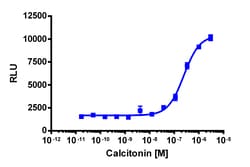 Eurofins Discoverx&nbsp;PathHunter CHO-K1 CALCR-RAMP2 (AMY2) β-Arrestin Cell Line, 2 vials. (93-0267C2)