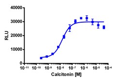 Eurofins Discoverx&nbsp;PathHunter eXpress CALCR-RAMP2 (AMY2) CHO-K1 β-Arrestin GPCR Assay, 10pl Kit. (93-0267E2CP0L)