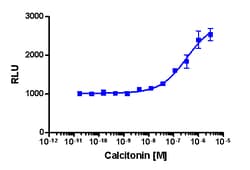 Eurofins Discoverx PathHunter CHO-K1 CALCR-RAMP3 (AMY3) β-Arrestin Cell