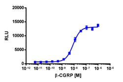 Eurofins Discoverx&nbsp;PathHunter CHO-K1 CALCRL-RAMP1 (CGRP1) β-Arrestin Cell Line, 2 vials. (93-0269C2)