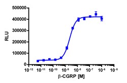 Eurofins Discoverx&nbsp;PathHunter eXpress CALCRL-RAMP1 (CGRP1) CHO-K1 β-Arrestin GPCR Assay, 2pl Kit. (93-0269E2CP0M)