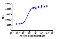 Eurofins Discoverx&nbsp;PathHunter eXpress CALCRL-RAMP2 (AM1) CHO-K1 β-Arrestin GPCR Assay, 2pl Kit. (93-0270E2CP0M)