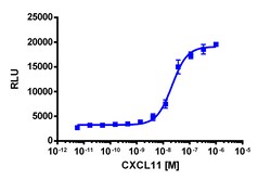 Eurofins Discoverx&nbsp;PathHunter CHO-K1 CXCR3 β-Arrestin Cell Line, 2 vials. (93-0271C2)