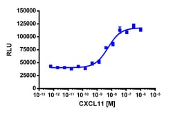 Eurofins Discoverx&nbsp;PathHunter U2OS CXCR3 β-Arrestin Cell Line, 2 vials. (93-0271C3)