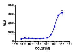 Eurofins Discoverx&nbsp;PathHunter U2OS CCR10 β-Arrestin Cell Line, 2 vials. (93-0276C3)