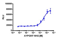 Eurofins Discoverx&nbsp;PathHunter CHO-K1 F2RL3 (PAR4) β-Arrestin Cell Line, 2 vials. (93-0279C2)