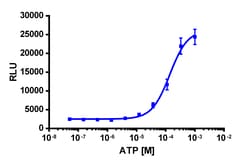 Eurofins Discoverx&nbsp;PathHunter CHO-K1 P2RY11 β-Arrestin Cell Line, 2 vials. (93-0281C2)