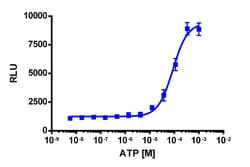 Eurofins Discoverx&nbsp;PathHunter eXpress P2RY11 CHO-K1 β-Arrestin GPCR Assay, 2-Plate Kit. (93-0281E2CP2M)