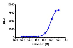 Eurofins Discoverx&nbsp;PathHunter CHO-K1 PROKR2 β-Arrestin Cell Line, 2 vials. (93-0282C2)