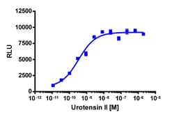 Eurofins Discoverx&nbsp;PathHunter CHO-K1 UTR2 β-Arrestin Cell Line, 2 vials. (93-0283C2)