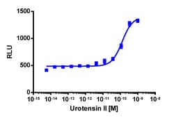 Eurofins Discoverx&nbsp;PathHunter eXpress UTR2 CHO-K1 β-Arrestin GPCR Assay, 10-Plate Kit. (93-0283E2CP2L)