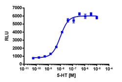 Eurofins Discoverx&nbsp;PathHunter U2OS HTR2C β-Arrestin Cell Line, 2 vials. (93-0289C3)