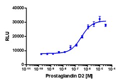 Eurofins Discoverx&nbsp;PathHunter CHO-K1 CRTH2 β-Arrestin Cell Line, 2 vials. (93-0291C2)