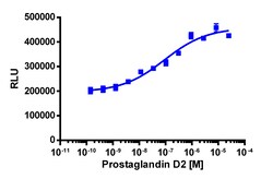 Eurofins Discoverx PathHunter eXpress CRTH2 CHO-K1 β-Arrestin GPCR Assay,