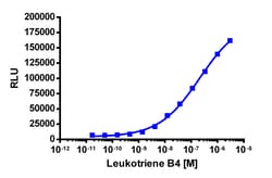 Eurofins Discoverx&nbsp;PathHunter eXpress LTB4R CHO-K1 β-Arrestin GPCR Assay, 10-Plate Kit. (93-0292E2CP0L)