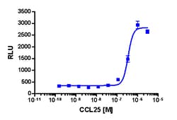 Eurofins Discoverx&nbsp;PathHunter CHO-K1 CCR9 β-Arrestin Cell Line, 2 vials. (93-0296C2)