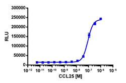 Eurofins Discoverx&nbsp;PathHunter eXpress CCR9 CHO-K1 β-Arrestin GPCR Assay, 10-Plate Kit. (93-0296E2CP0L)