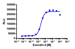 Eurofins Discoverx PathHunter eXpress GLP1R CHO-K1 β-Arrestin GPCR Assay,
