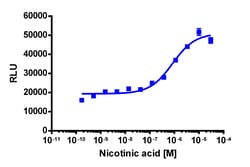 Eurofins Discoverx&nbsp;PathHunter eXpress GPR109A CHO-K1 β-Arrestin GPCR Assay, 2-Plate Kit. (93-0301E2CP2M)