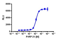 Eurofins Discoverx&nbsp;PathHunter CHO-K1 PRLHR β-Arrestin Cell Line, 2 vials. (93-0302C2)