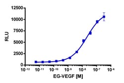Eurofins Discoverx&nbsp;PathHunter CHO-K1 PROKR1 β-Arrestin Cell Line, 2 vials. (93-0303C2)