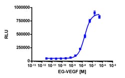 Eurofins Discoverx&nbsp;PathHunter eXpress PROKR1 CHO-K1 β-Arrestin GPCR Assay, 10-Plate Kit. (93-0303E2CP0L)