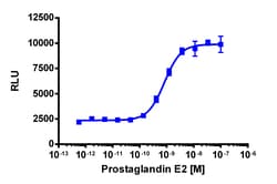 Eurofins Discoverx PathHunter U2OS PTGER4 β-Arrestin Cell Line, 2 vials.