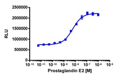Eurofins Discoverx&nbsp;PathHunter eXpress PTGER4 HEK 293 β-Arrestin GPCR Assay, 10pl Kit. (93-0304E1CP0L)