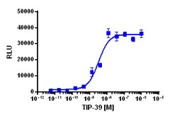 Eurofins Discoverx&nbsp;PathHunter CHO-K1 PTHR2 β-Arrestin Cell Line, 2 vials. (93-0306C2)