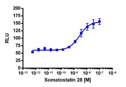 Eurofins Discoverx&nbsp;PathHunter U2OS SSTR1 β-Arrestin Cell Line, 2 vials. (93-0307C3)