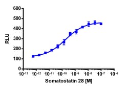Eurofins Discoverx&nbsp;PathHunter eXpress SSTR1 U2OS β-Arrestin GPCR Assay, 2-Plate Kit. (93-0307E3CP5M)
