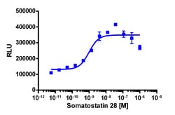 Eurofins Discoverx PathHunter eXpress SSTR4 CHO-K1 β-Arrestin GPCR Assay,