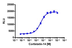 Eurofins Discoverx&nbsp;PathHunter CHO-K1 MRGPRX2 β-Arrestin Cell Line, 2 vials. (93-0309C2)