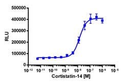 Eurofins Discoverx&nbsp;PathHunter eXpress MRGPRX2 CHO-K1 β-Arrestin GPCR Assay, 2-Plate Kit. (93-0309E2CP0M)