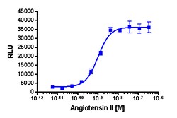 Eurofins Discoverx&nbsp;PathHunter CHO-K1 AGTR1 β-Arrestin Cell Line, 2 vials. (93-0312C2)