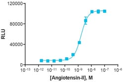 Eurofins Discoverx PathHunter AGTR1 Bioassay Kit, 2-Plate. (93-0312Y2-00125),