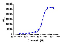 Eurofins Discoverx&nbsp;PathHunter CHO-K1 CMKLR1 β-Arrestin Cell Line, 2 vials. (93-0313C2)