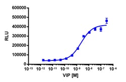 Eurofins Discoverx&nbsp;PathHunter CHO-K1 VIPR1 β-Arrestin Cell Line, 2 vials. (93-0316C2)